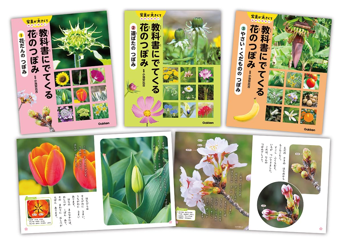 Amazon.co.jp: 教科書にでてくる 花のつぼみ 全3巻 (写真が大きくて